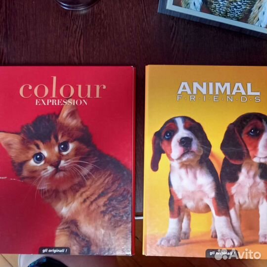 Папка для документов А4 кольца+ прищепка 2в1