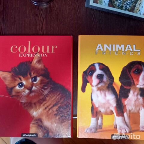 Папка для документов А4 кольца+ прищепка 2в1