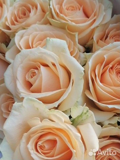 Няня для ребёнка, на день, на ночь