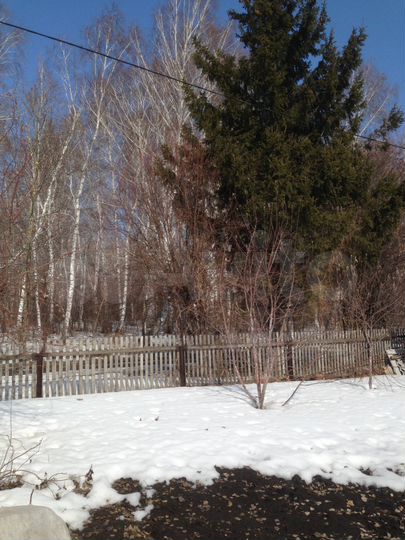 Дача 45 м² на участке 6 сот.