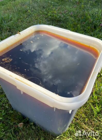 Алтайский мед оптом 2023