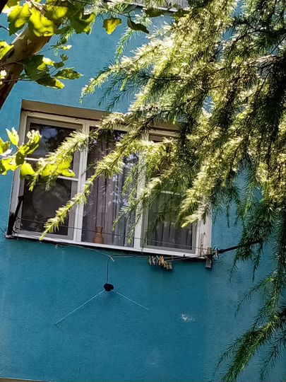 Комната 11 м² в 1-к., 2/5 эт.