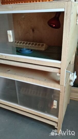 Сетка для содержания цыплят, бройлеров, гусей и ут