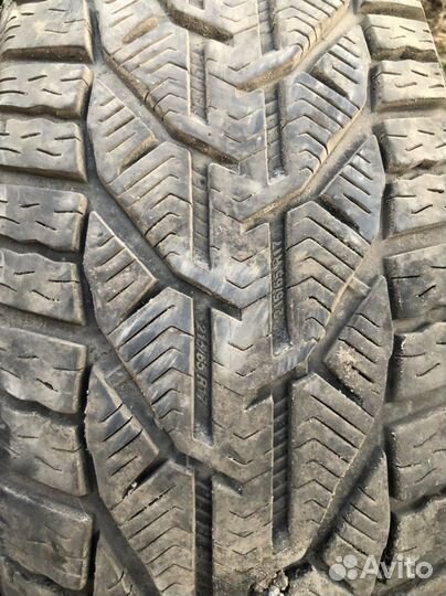 Tigar SUV Winter 215/65 R17 99V