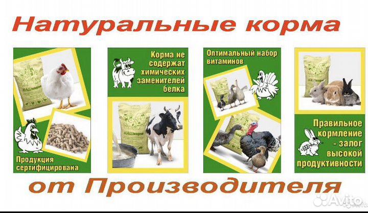 Комбикорм корма