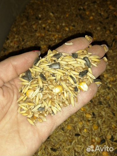 Зерносмесь