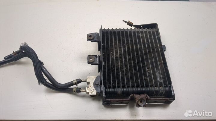 Радиатор масляный Nissan Pathfinder, 2014
