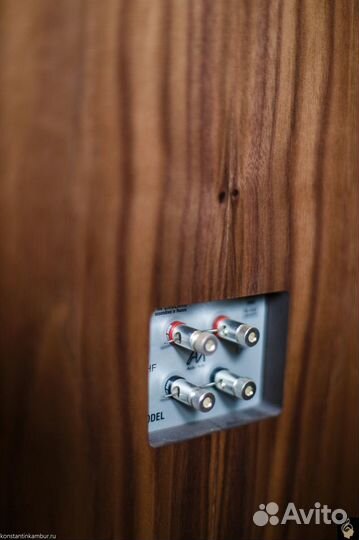 Audio Note AN E LX Walnut