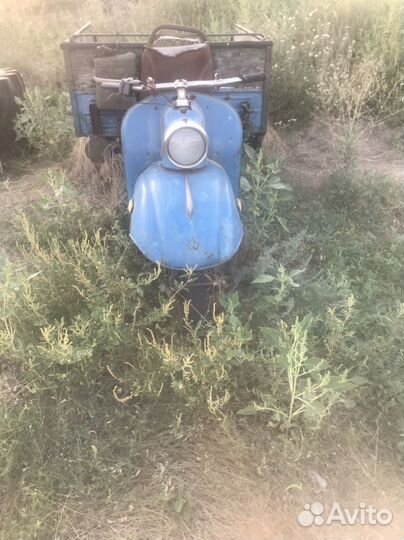 Мотороллер муровей