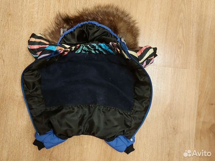 Йокширский терьер