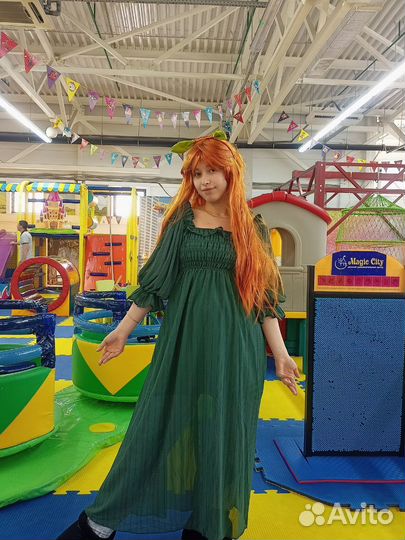 Костюмы Шрека и Фионы