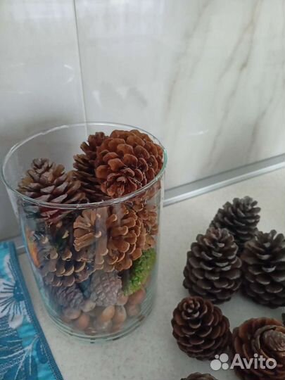 Шишки сосновые