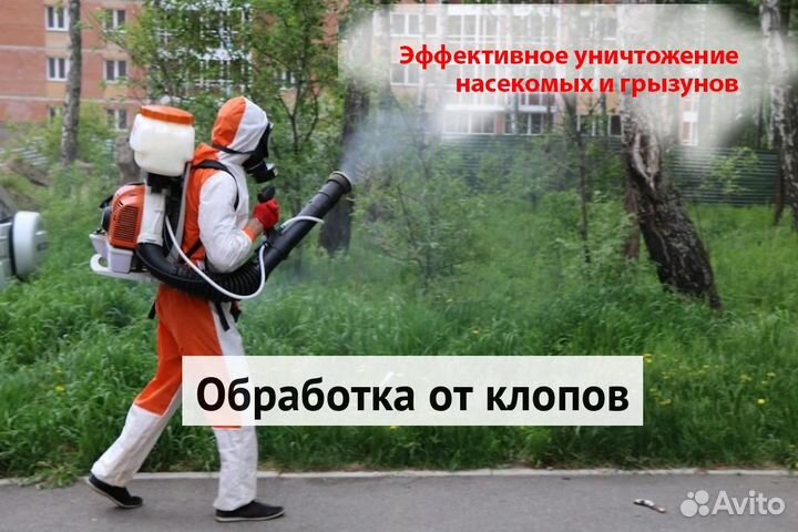 Уничтожение клопов тараканов грызунов блох клещей