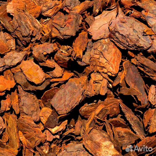 Кора сосны ангарской опт/розница от производителя