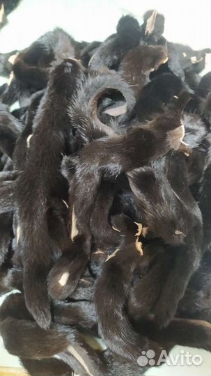 Хвосты норки крупные