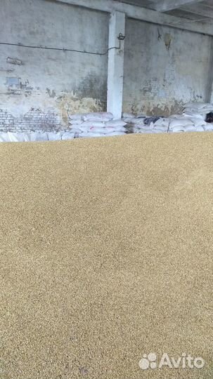Ячмень фасованный 35 кг в белых мешках