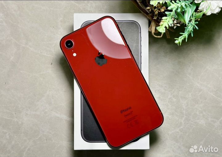 iPhone Xr, 128 ГБ