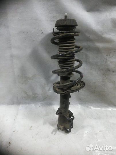 Амортизатор передний передний правый Kia Rio 3 QB