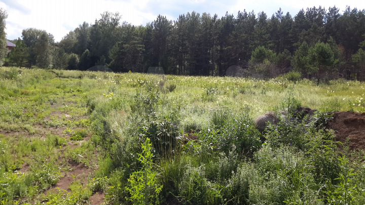 Участок 12 сот. (СНТ, ДНП)