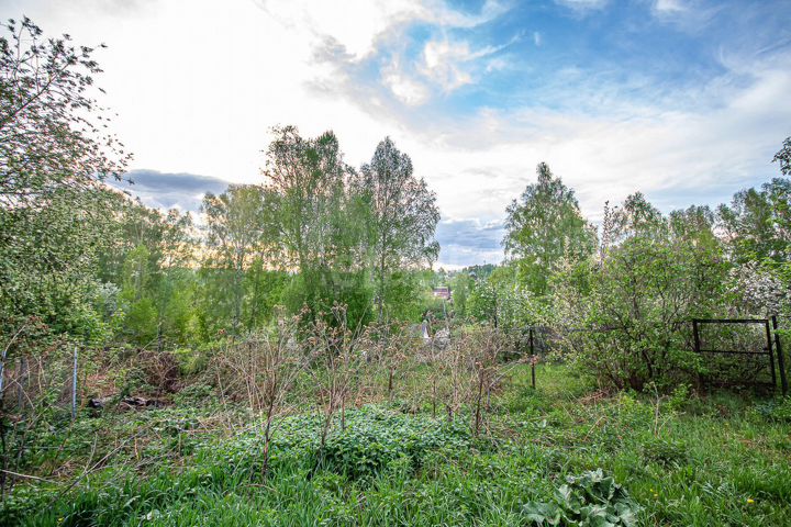 Участок 4,8 сот. (СНТ, ДНП)