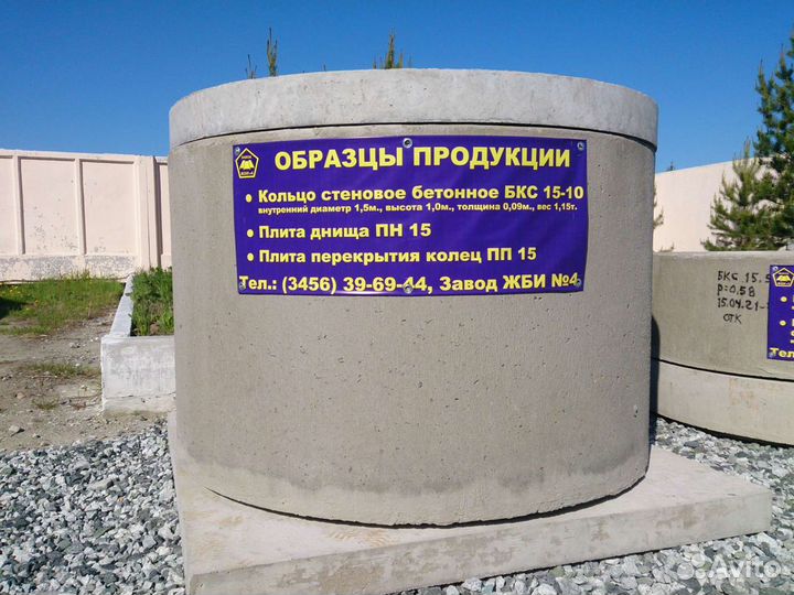 Жби кольцо, септик