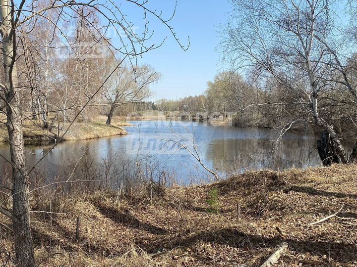 Участок 11,95 га (личное подсобное хозяйство (лпх))