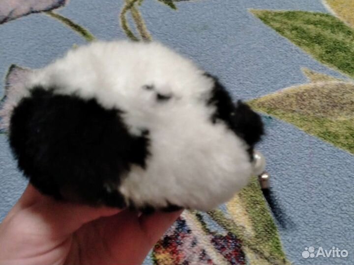 Мягкая игрушка клаща из полимерной глины