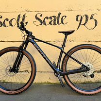 scott scale