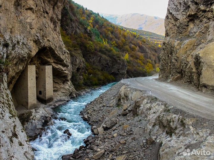 Грозный Топ-Экскурсия Аргунское ущелье: по дороге