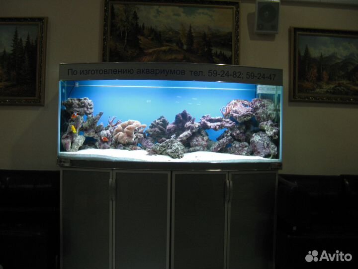 Аквариумы морские производство