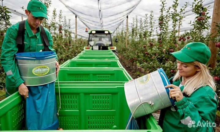 Сборщик. Вахта