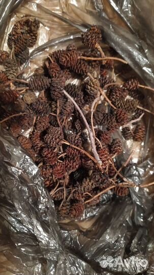 Ольха, Амбровое дерево, Шишки. Миндаль