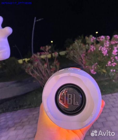 Колонка JBL Pulse 4 (Арт.76428)