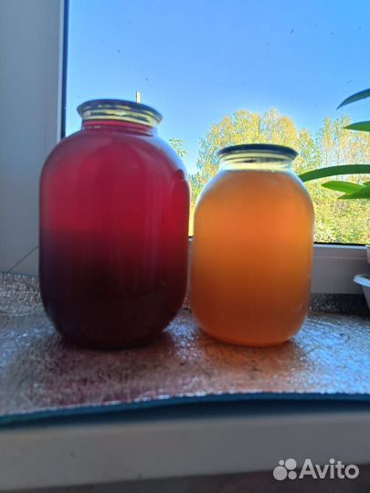 Сок домашний