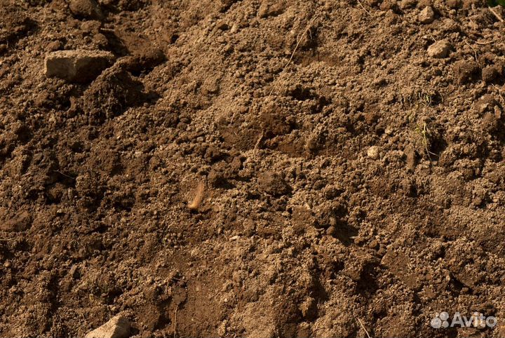 Плодородная земля в дер. Серково