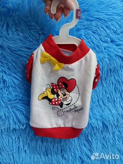 Одежда для маленьких собак xs