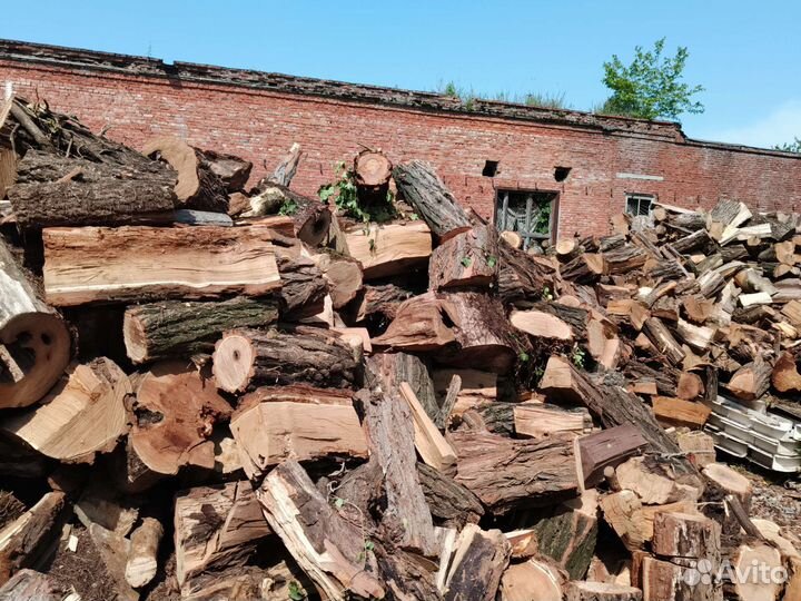 Дрова твёрдых пород