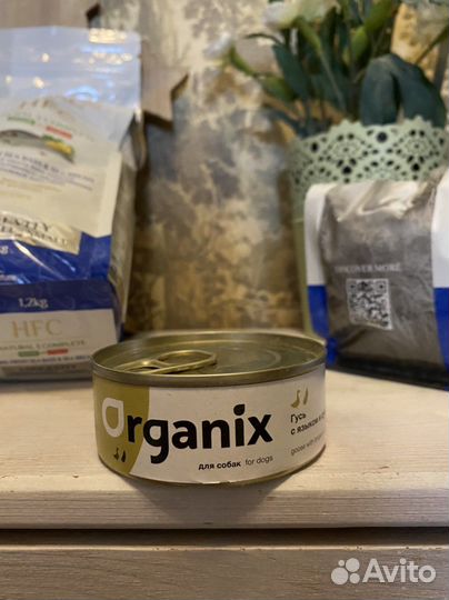 Корм для собак