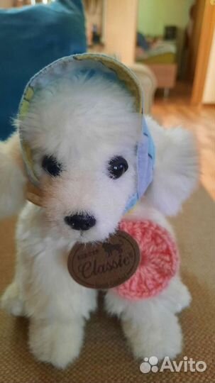 Одежда для собак мелких пород