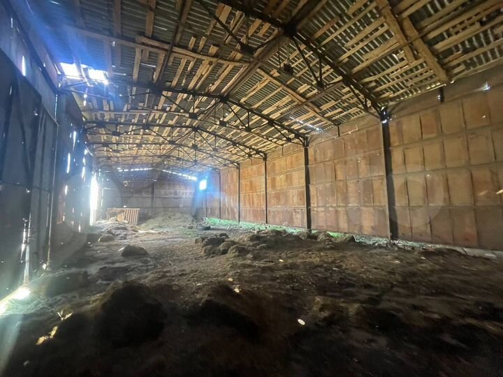 Производство, 520 м²