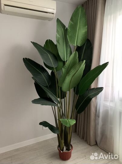 Искусственные растения. Банановая пальма/Стрелиция