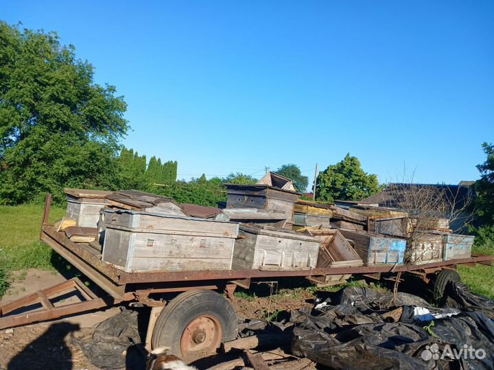 Пчелоприцеп легковой