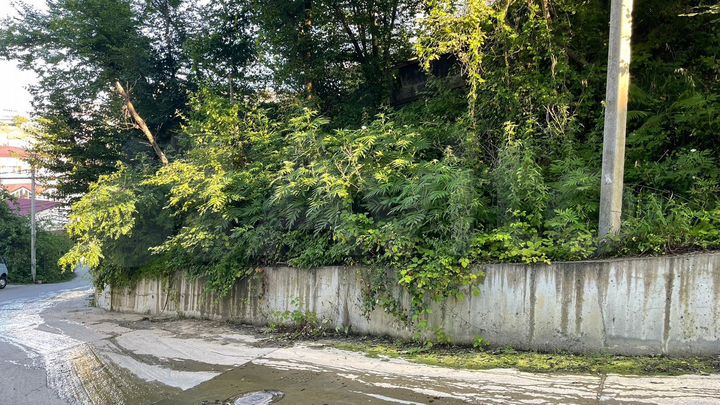 Участок 4,7 сот. (СНТ, ДНП)