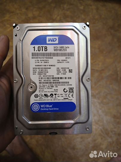 Жесткий диск 1 тб wd blue