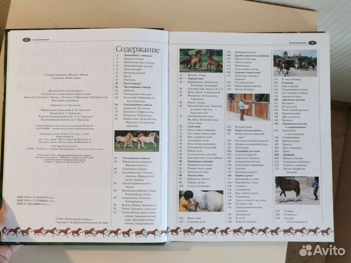 Детская энциклопедия лошади и пони