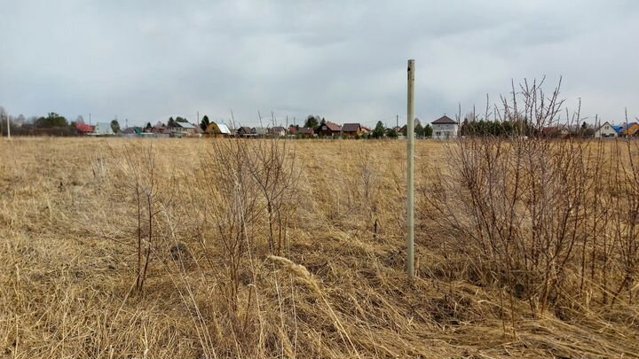 Участок 10 сот. (СНТ, ДНП)