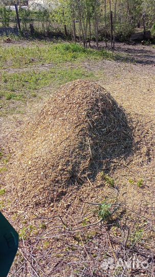 Измельчение Веток и Дробление пней