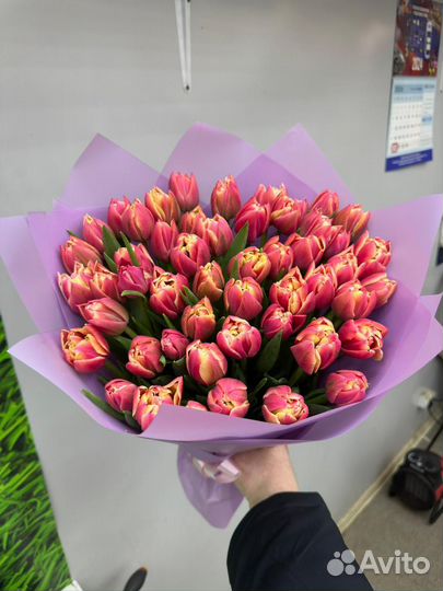 Букет 51 тюльпан доставка