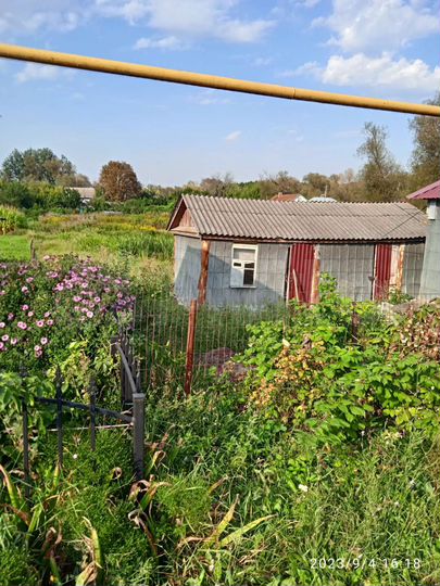 Дом 24,4 м² на участке 12 сот.