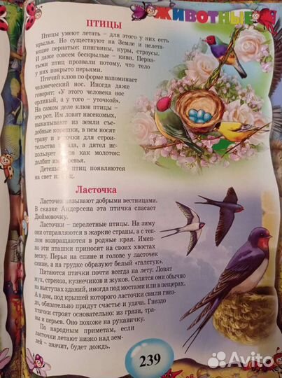 Энциклопедия